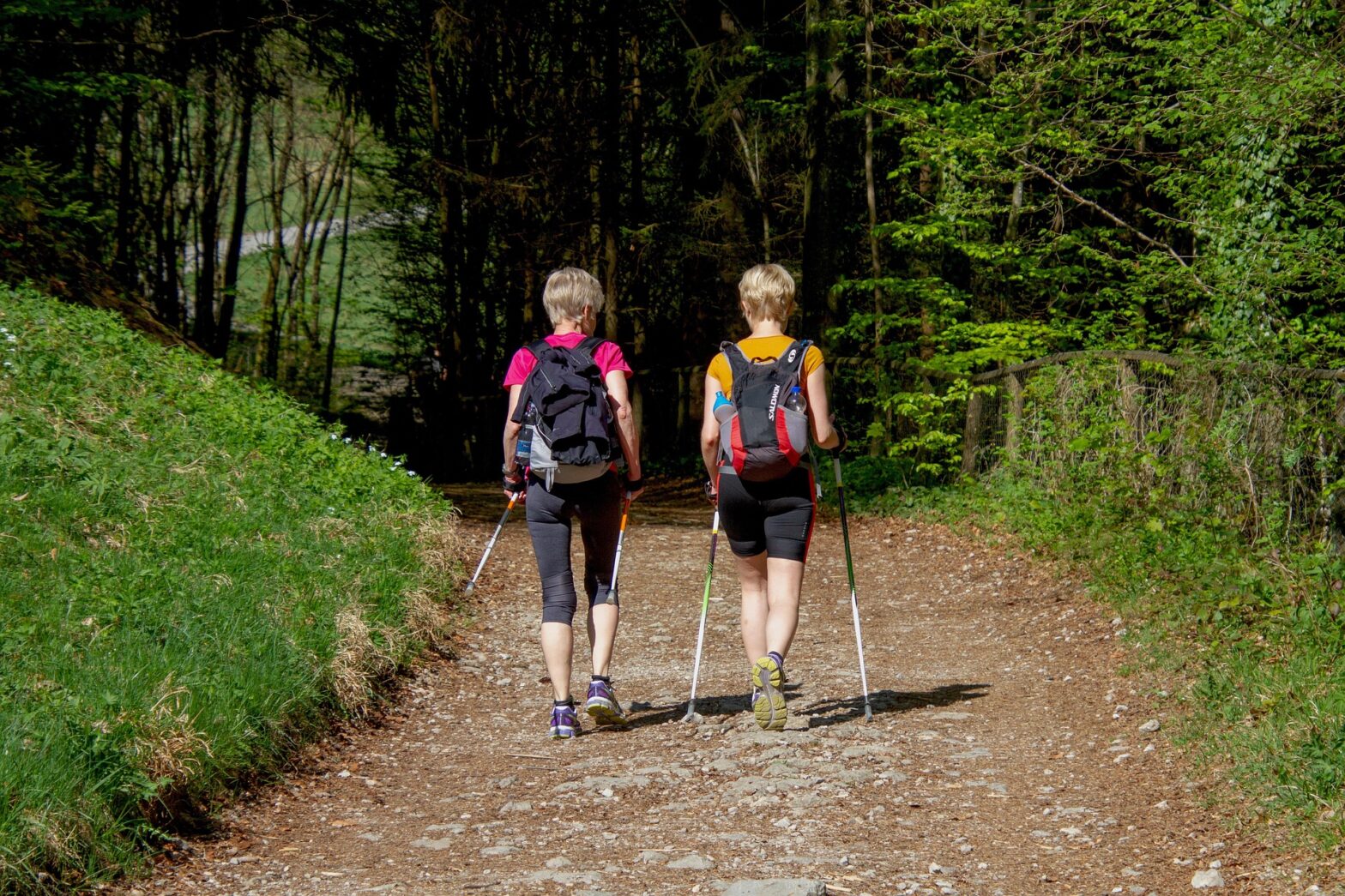 Neuer Kurs 19.3.25 - 23.4.25, Mittwochs 15.00 Uhr
